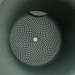 june tulip 40cm emerald grün